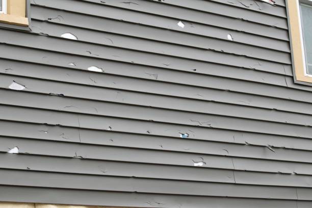 Best Vinyl Siding Installation  in Elm Grove, WI